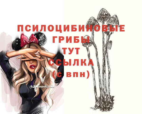 эйфоретик Зеленокумск